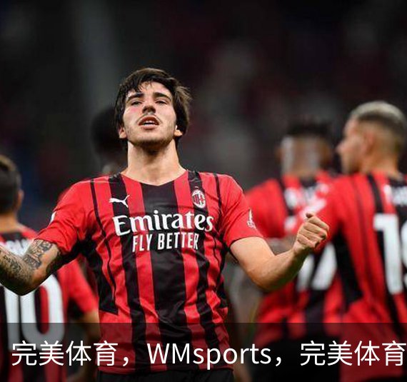 了解完美体育，WMsports，完美体育官方，完美体育平台，完美体育下载